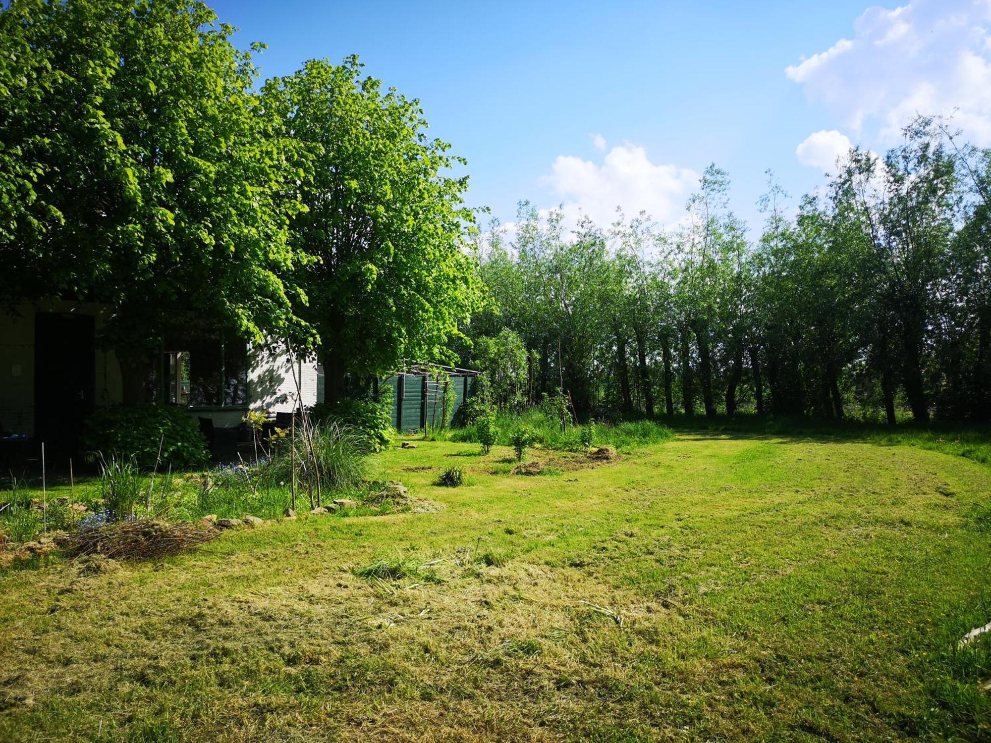 Sweet Tiny House Villa Westbeemster Exterior photo